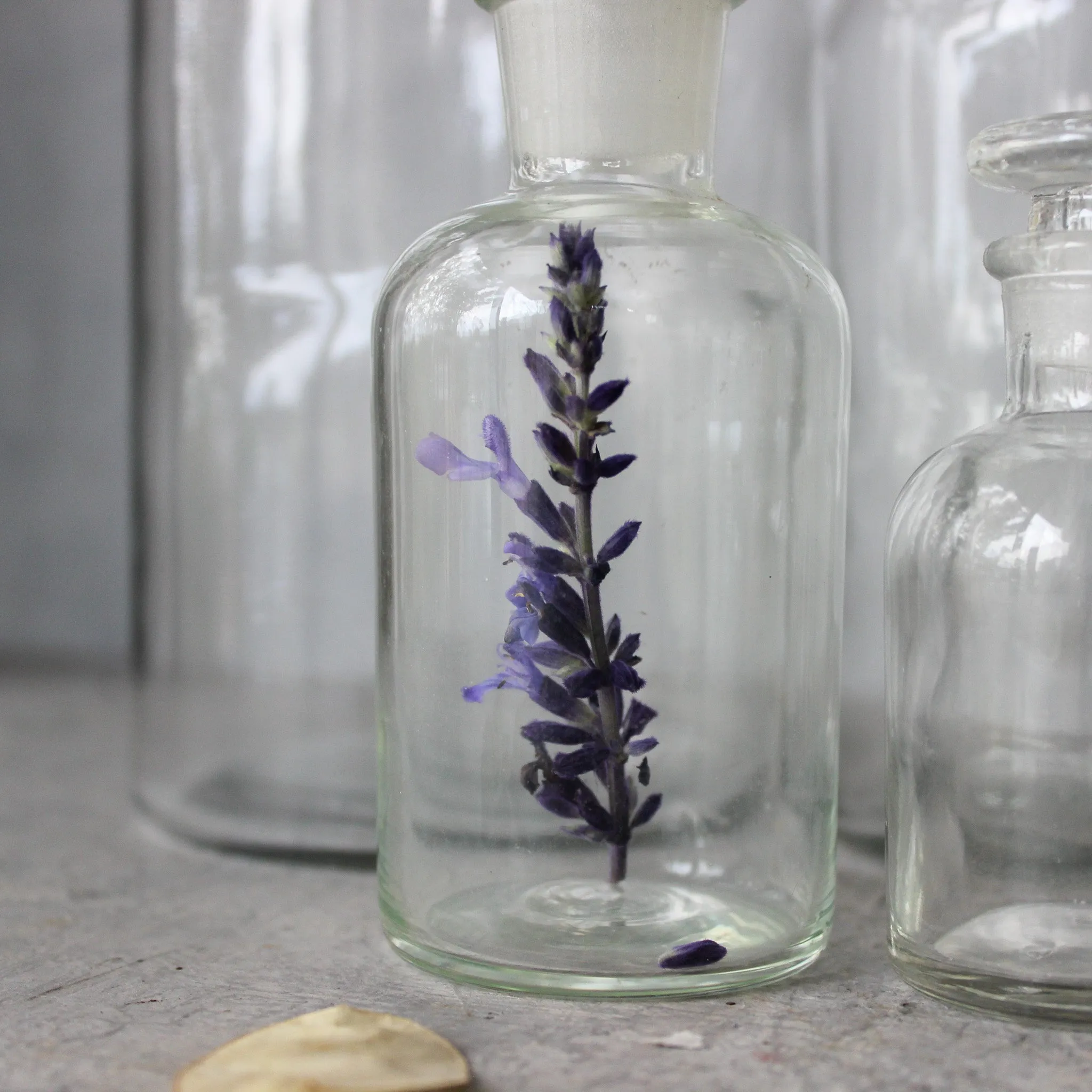 Glass Reagent Bottles