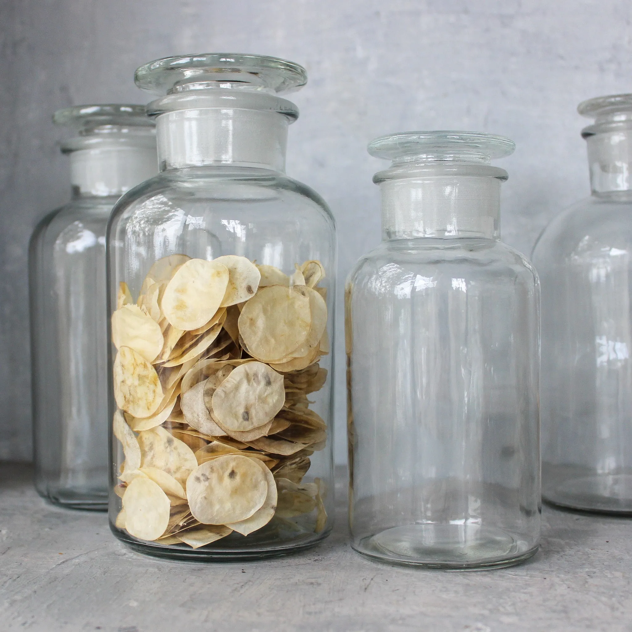 Glass Reagent Bottles
